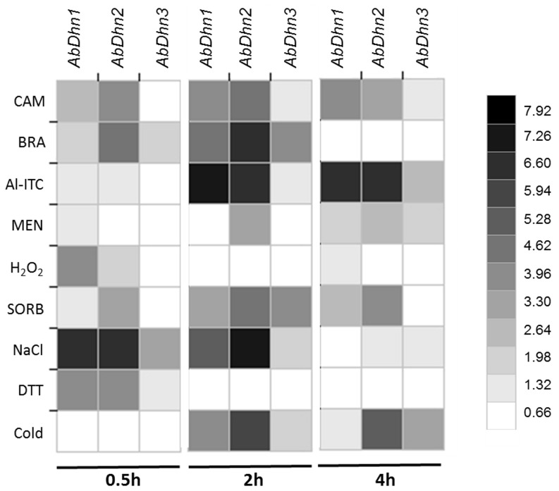 Figure 4