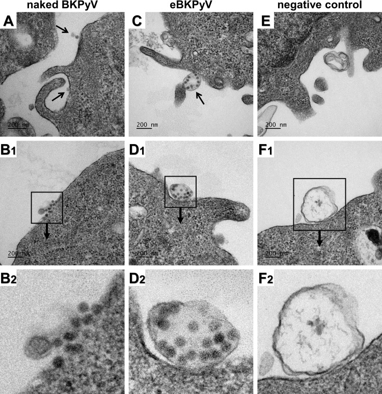 FIG 2