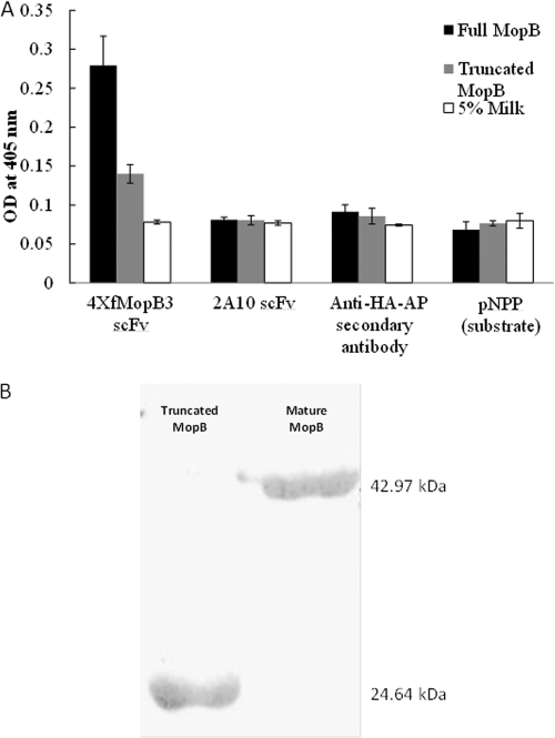 Fig 6