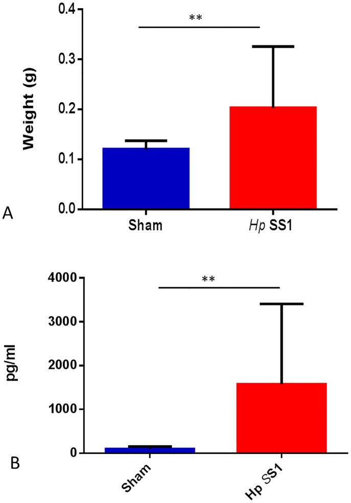 Fig 10