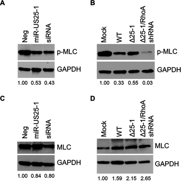 FIG 3