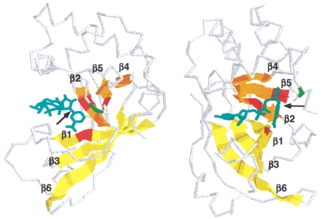 Fig. 10.