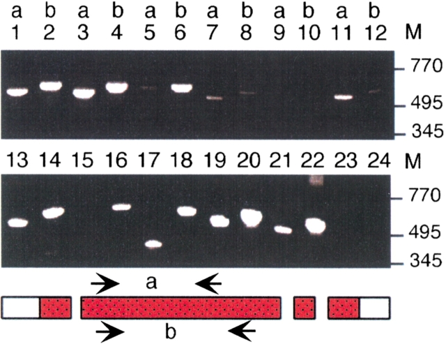 Fig. 1.