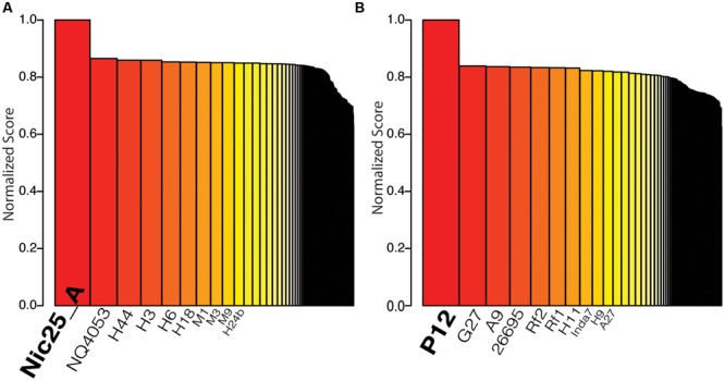 FIGURE 3