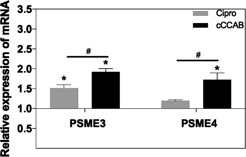 Figure 6