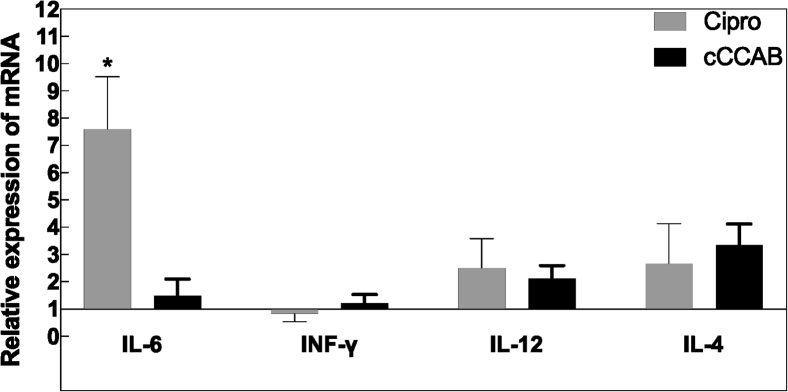 Figure 5