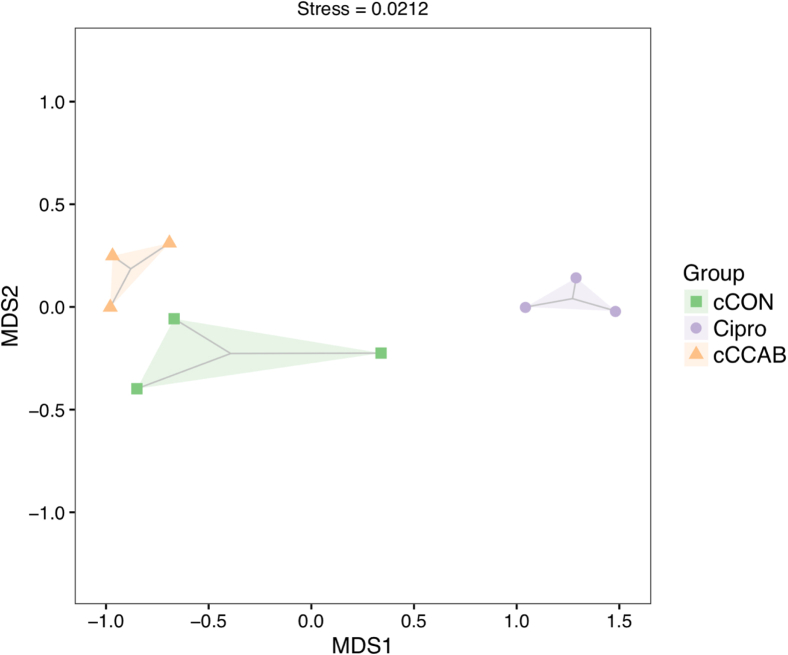 Figure 1