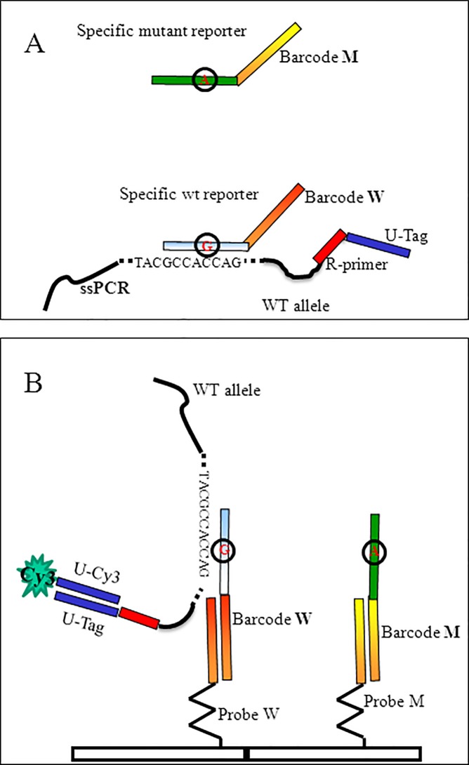 Fig 1