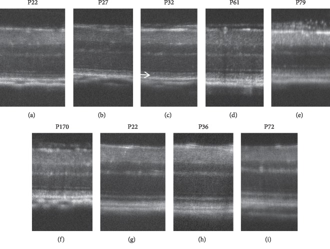 Figure 13