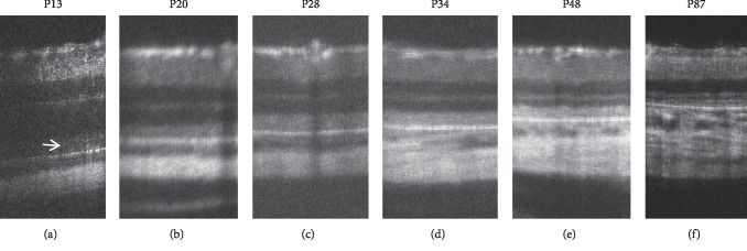 Figure 10