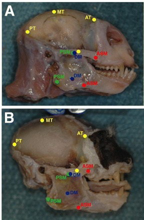 Fig. 4.