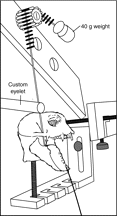 Fig. 5.