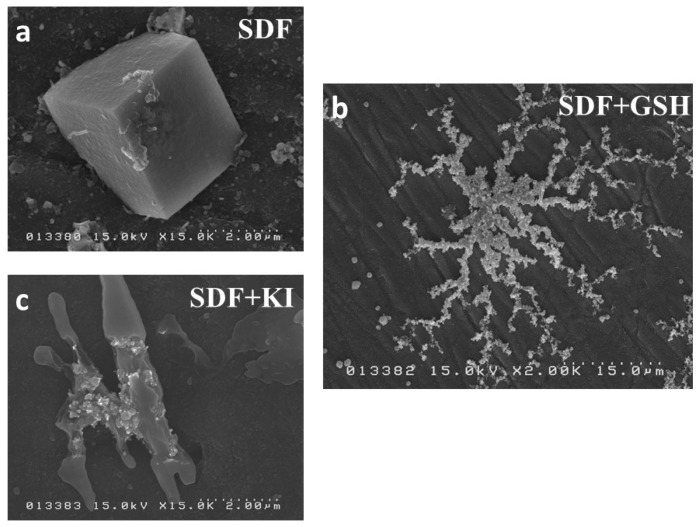 Figure 7