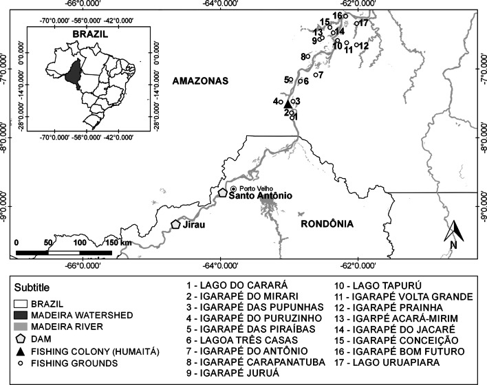 Fig. 1