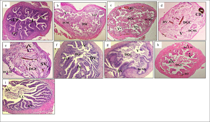 Fig 4