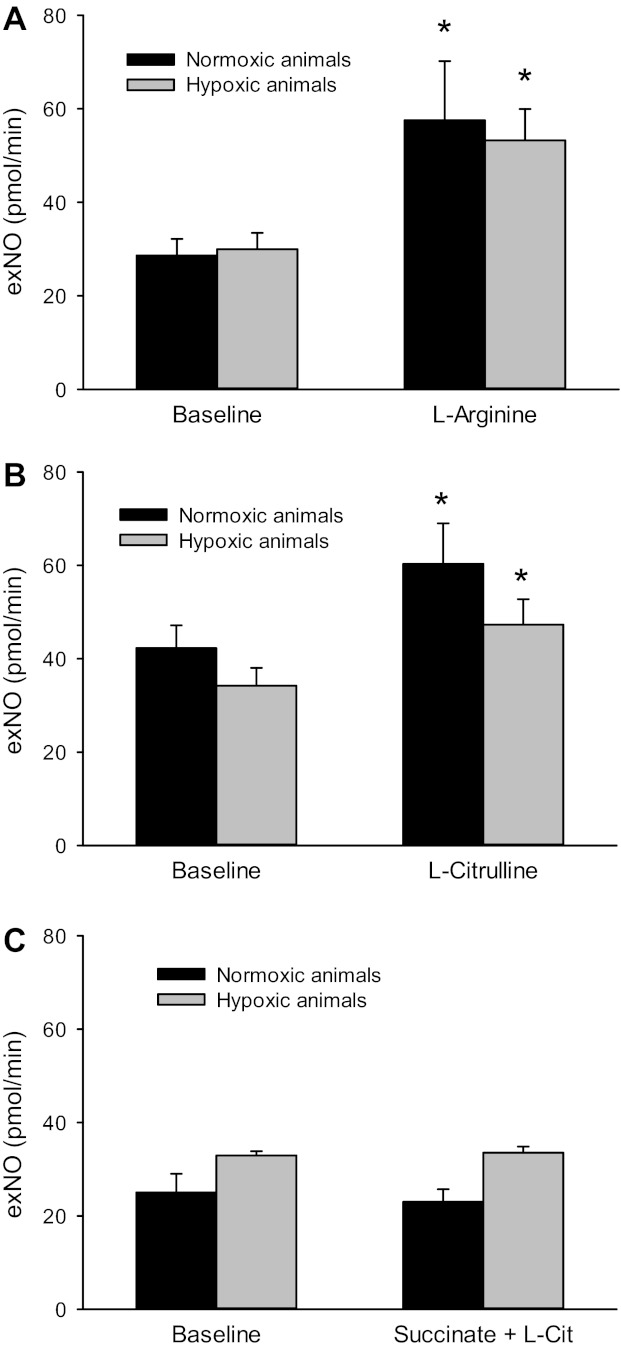 Fig. 8.