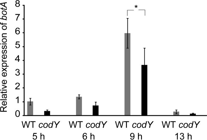 FIG 2