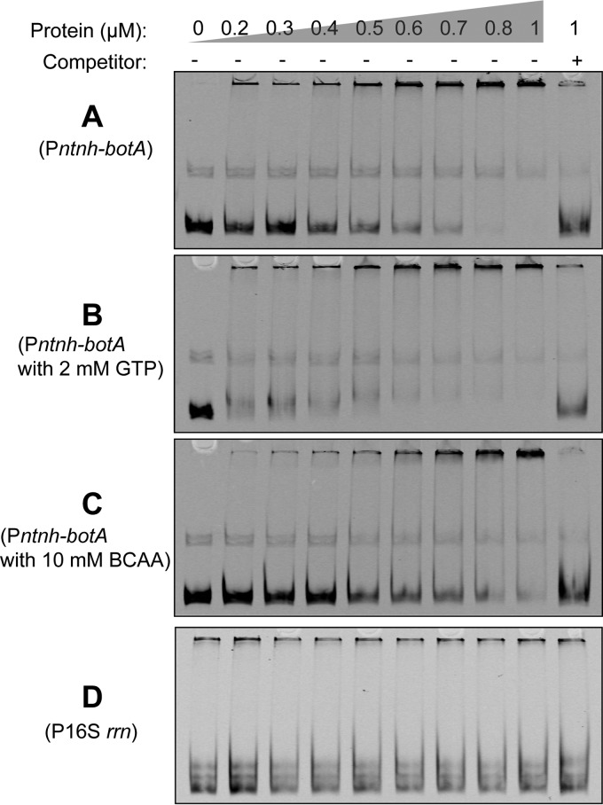 FIG 6