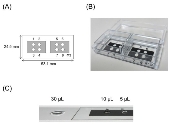 Fig. 3