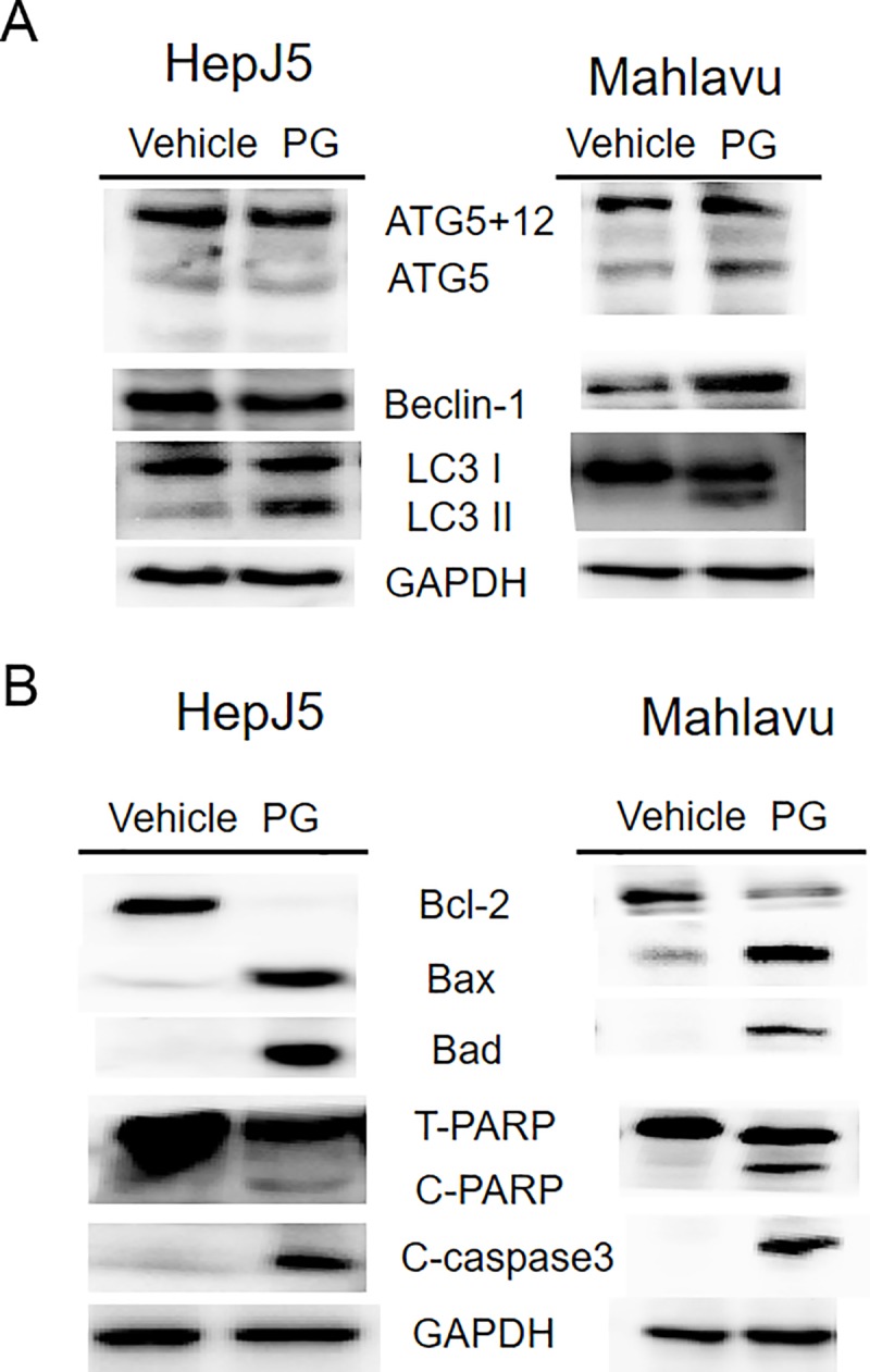 Fig 9