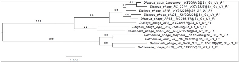 FIGURE 3