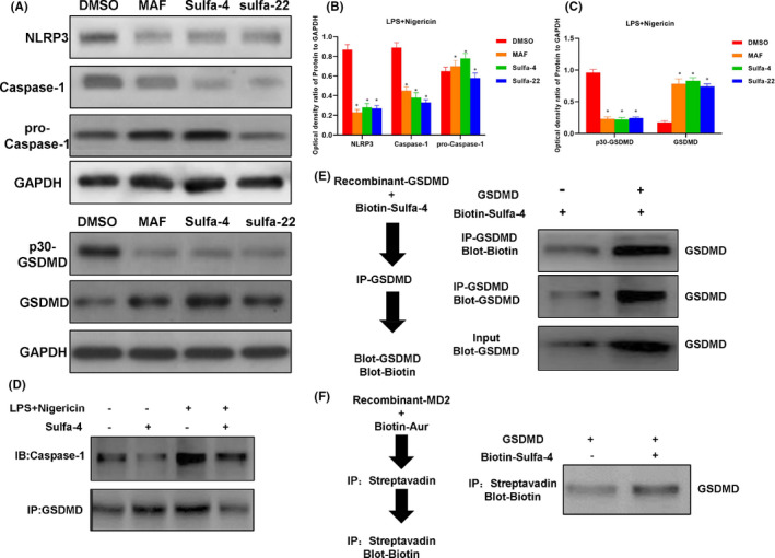 FIGURE 4