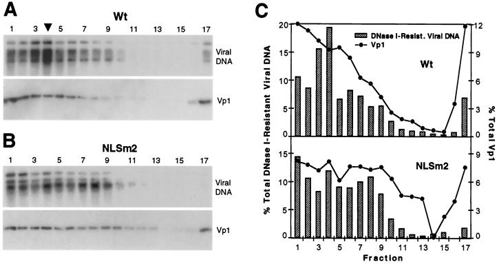 FIG. 6