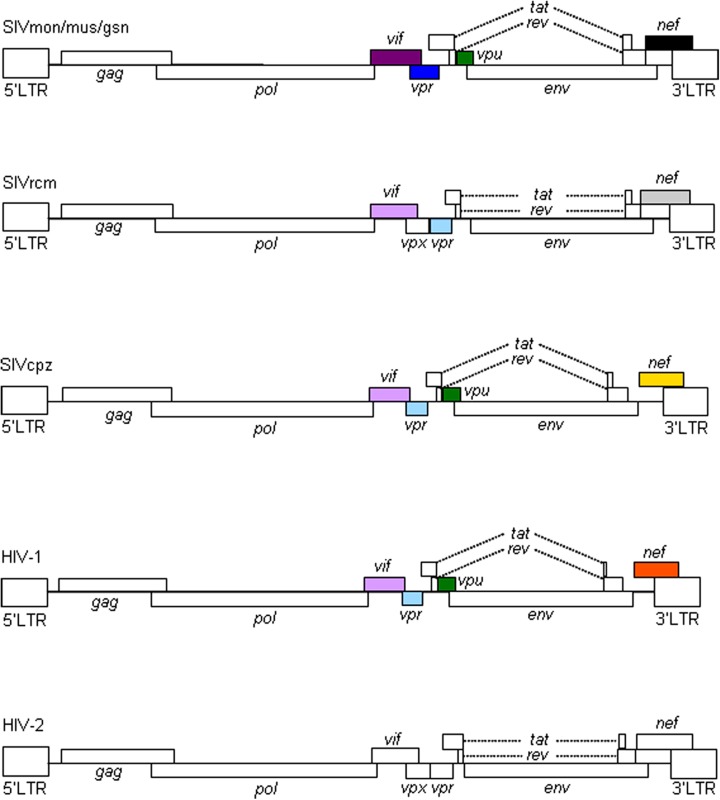 FIGURE 1