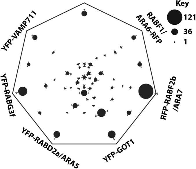 Fig. 3.