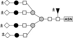 graphic file with name molecules-16-02561-i004.jpg