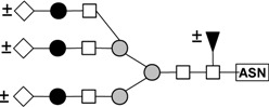 graphic file with name molecules-16-02561-i003.jpg