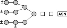 graphic file with name molecules-16-02561-i005.jpg