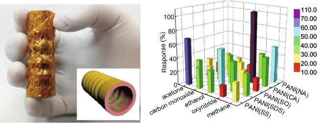 graphic file with name 40820_2018_228_Figa_HTML.jpg