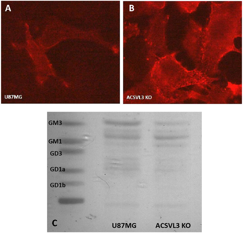 Figure 9.