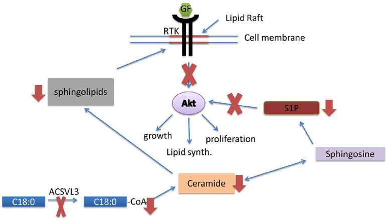 Figure 11.