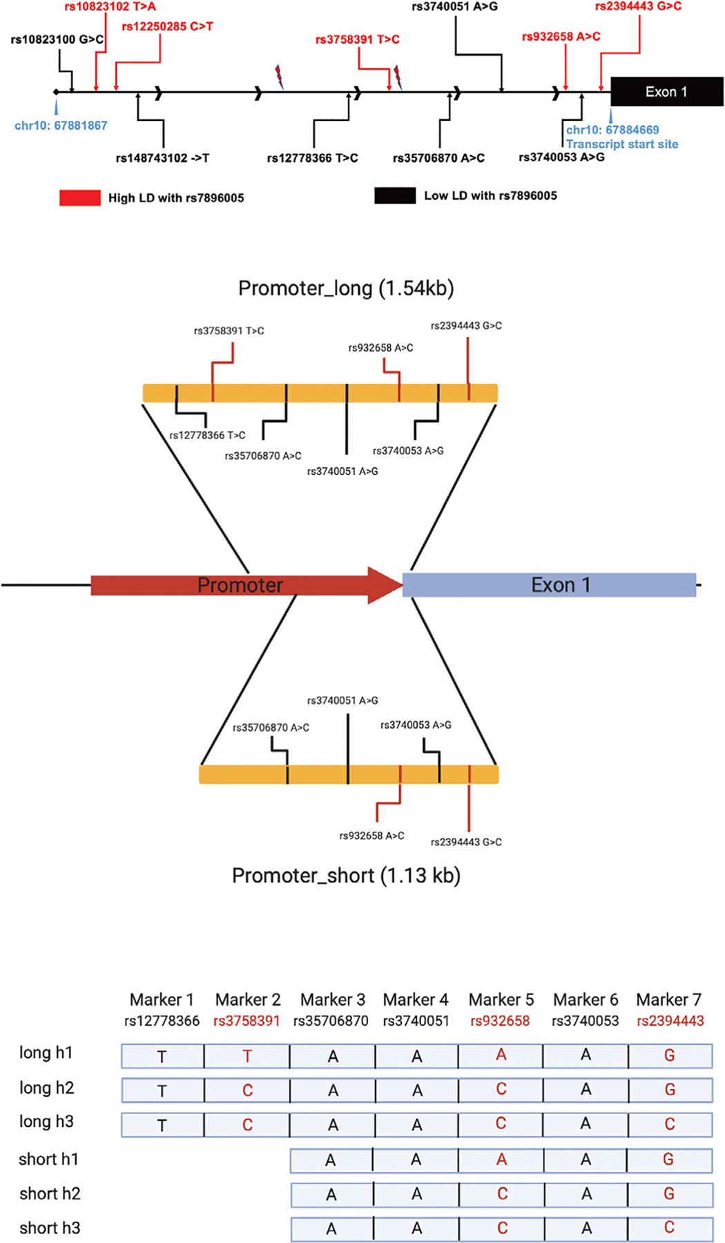 Fig 3.