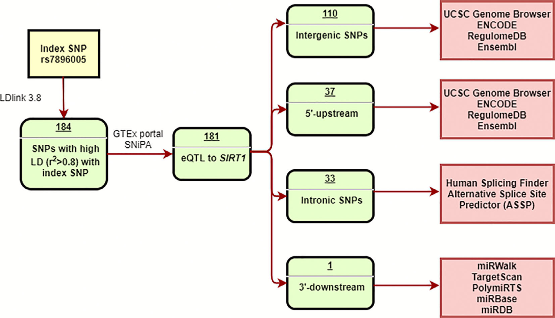 Fig 1.