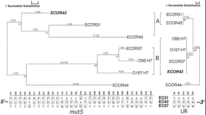 FIG. 6