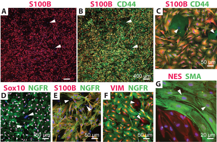 Figure 2.