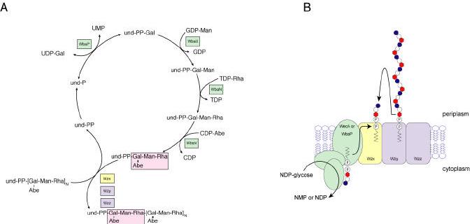 Figure 13