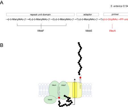 Figure 15