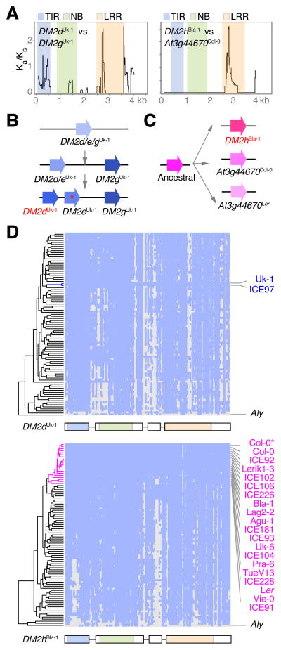 Figure 5