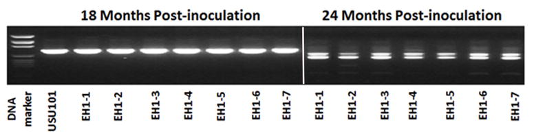 FIG 3