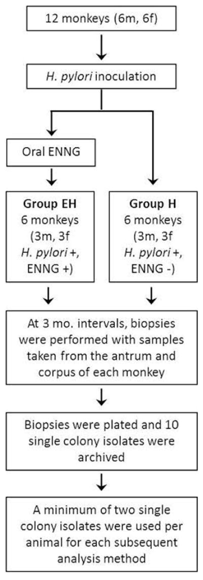 FIG 1