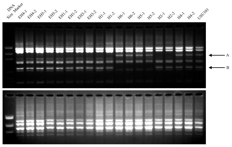 FIG 2