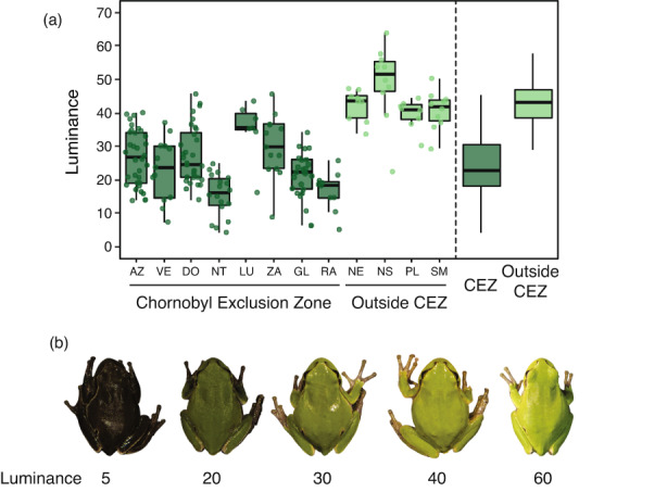 FIGURE 2