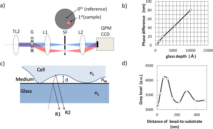 Fig. 2