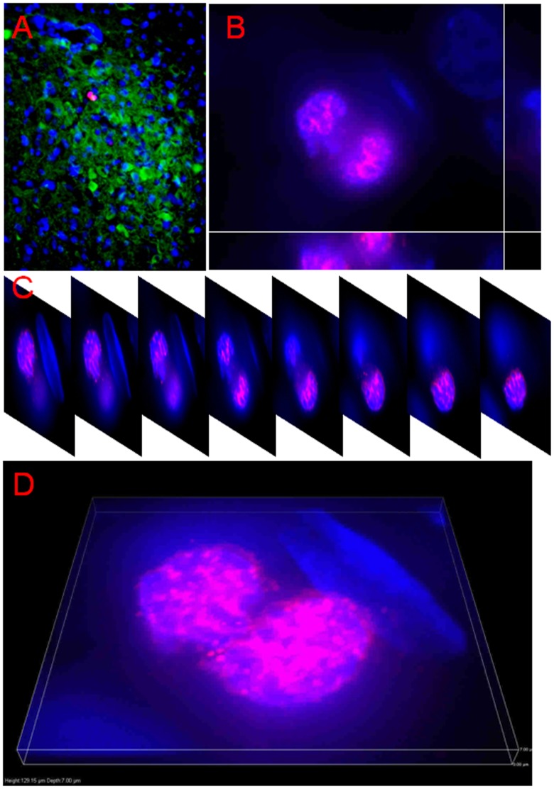 Figure 6