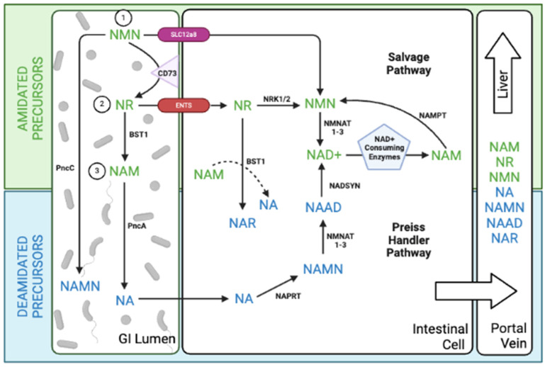 Figure 2