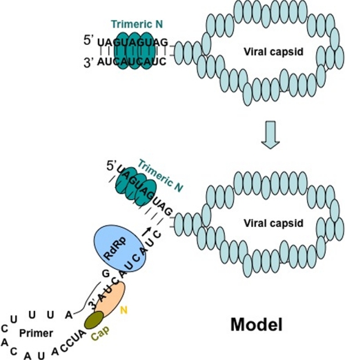 FIGURE 9.